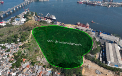 Reflorestamento Morro da Ilha da Conceição